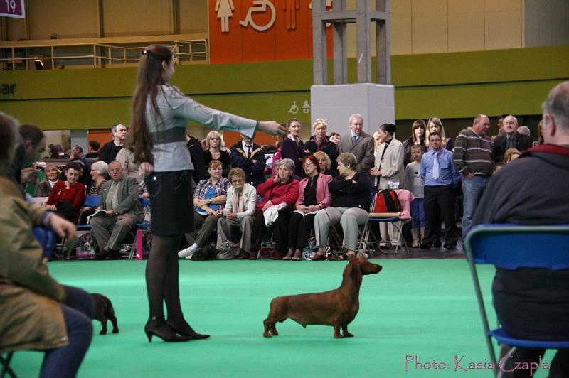 Crufts2011_2 1027.jpg